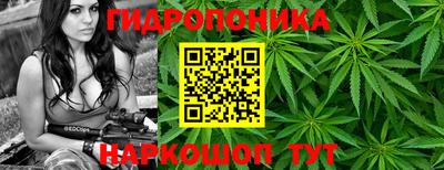 a pvp Волжск
