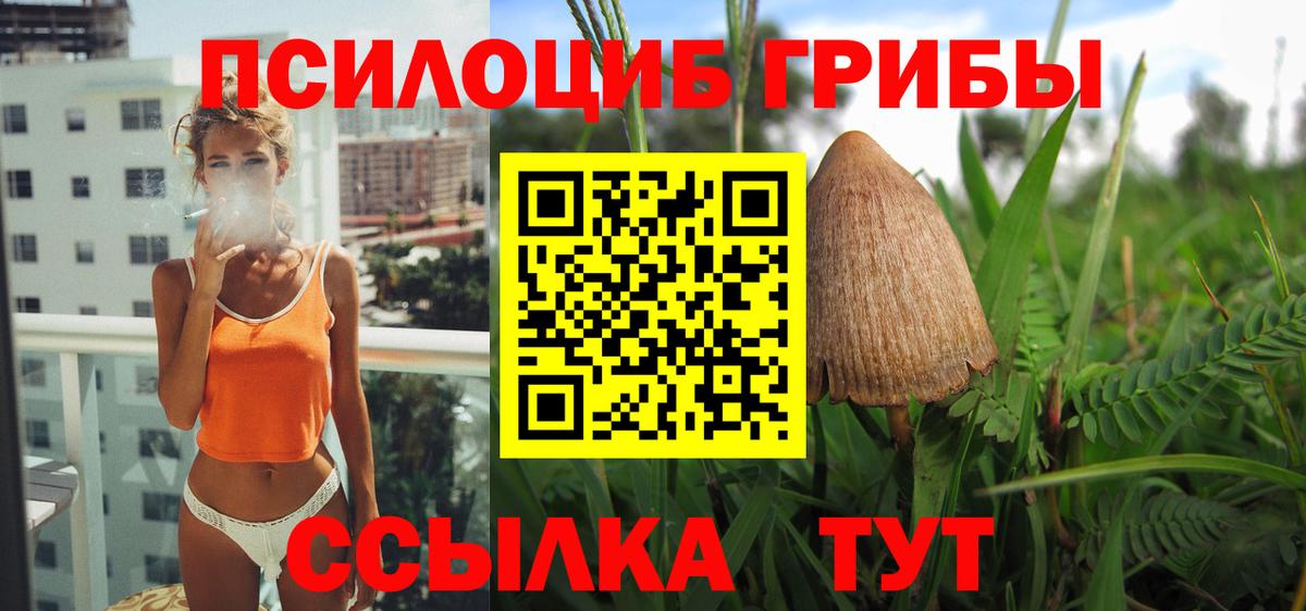 Верхняя Пышма  Псилоцибиновые грибы мухоморы  Вход с VPN 